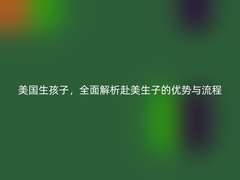 美国生孩子，全面解析赴美生子的优势与流程