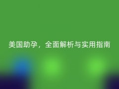 美国助孕，全面解析与实用指南