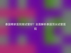 泰国哪家医院做试管好？全面解析泰国顶尖试管医院