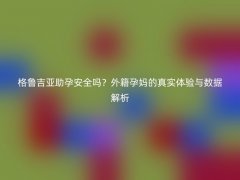 格鲁吉亚助孕安全吗？外籍孕妈的真实体验与数据解析