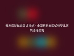 哪家医院做泰国试管好？全面解析泰国试管婴儿医院选择指南