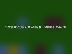 试管婴儿短效长方案详细流程，全面解析助孕之路