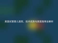 美国试管婴儿医院，技术优势与就医指南全解析