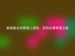 泰国曼谷试管婴儿医院，您的生育希望之路