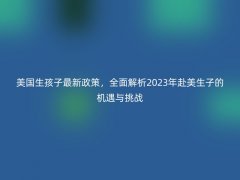 美国生孩子最新政策，全面解析2025年赴美生子的机遇与挑战