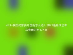 泰国试管婴儿医院怎么选？2025最新成功率与费用对比