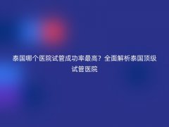 泰国哪个医院试管成功率最高？全面解析泰国顶级试管医院