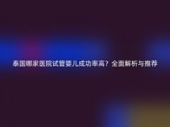 泰国哪家医院试管婴儿成功率高？全面解析与推荐