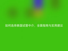 如何选择泰国试管中介，全面指南与实用建议