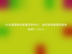 去泰国做试管最好的中介，如何选择靠谱的服务机构？