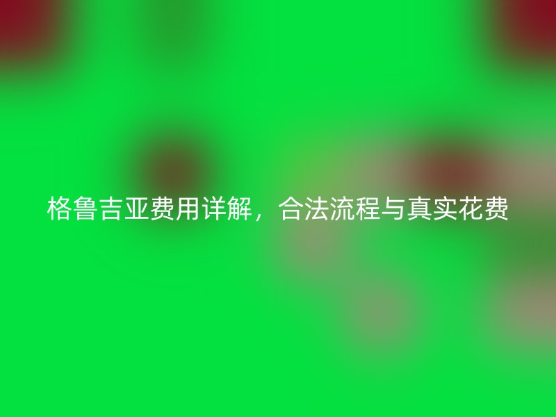 格鲁吉亚费用详解,合法流程与真实花费