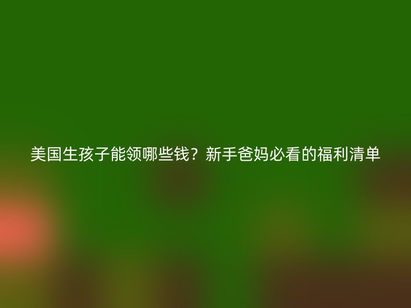 美国生孩子能领哪些钱？新手爸妈必看的福利清单
