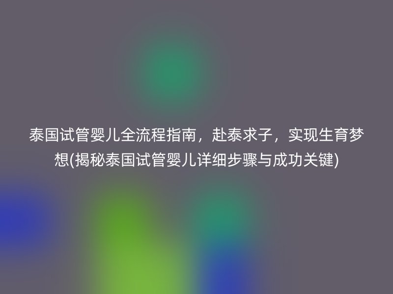 泰国试管婴儿全流程指南,赴泰求子,实现生育梦想(揭秘泰国试管婴儿详细步骤与成功关键)