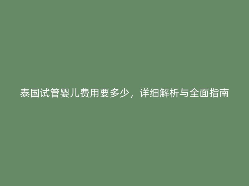 泰国试管婴儿费用要多少,详细解析与全面指南