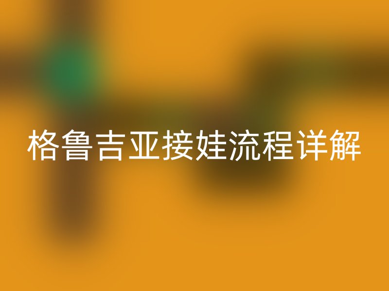 格鲁吉亚接娃流程详解