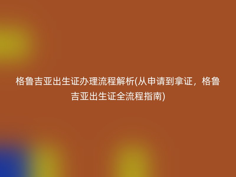 格鲁吉亚出生证办理流程解析(从申请到拿证,格鲁吉亚出生证全流程指南)