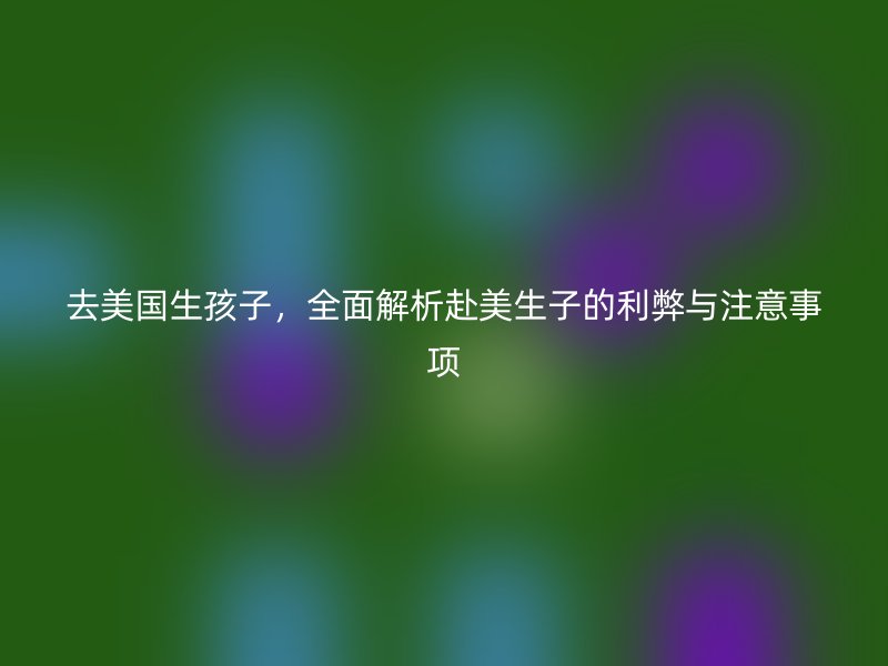 去美国生孩子，全面解析赴美生子的利弊与注意事项