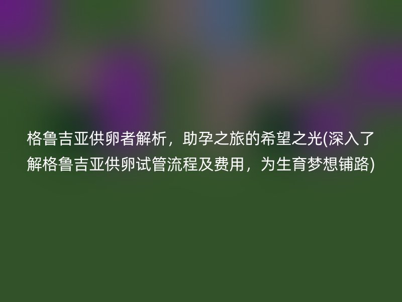 格鲁吉亚供卵者解析,助孕之旅的希望之光(深入了解格鲁吉亚供卵试管流程及费用,为生育梦想铺路)