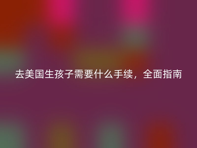 去美国生孩子需要什么手续，全面指南