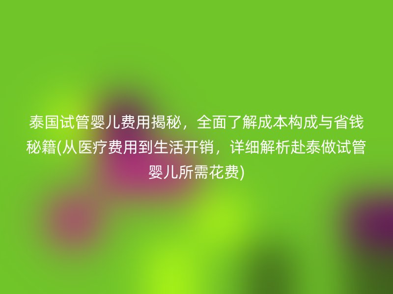 泰国试管婴儿费用揭秘，全面了解成本构成与省钱秘籍(从医疗费用到生活开销，详细解析赴泰做试管婴儿所需花费)