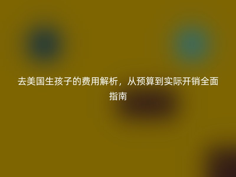 去美国生孩子的费用解析,从预算到实际开销全面指南