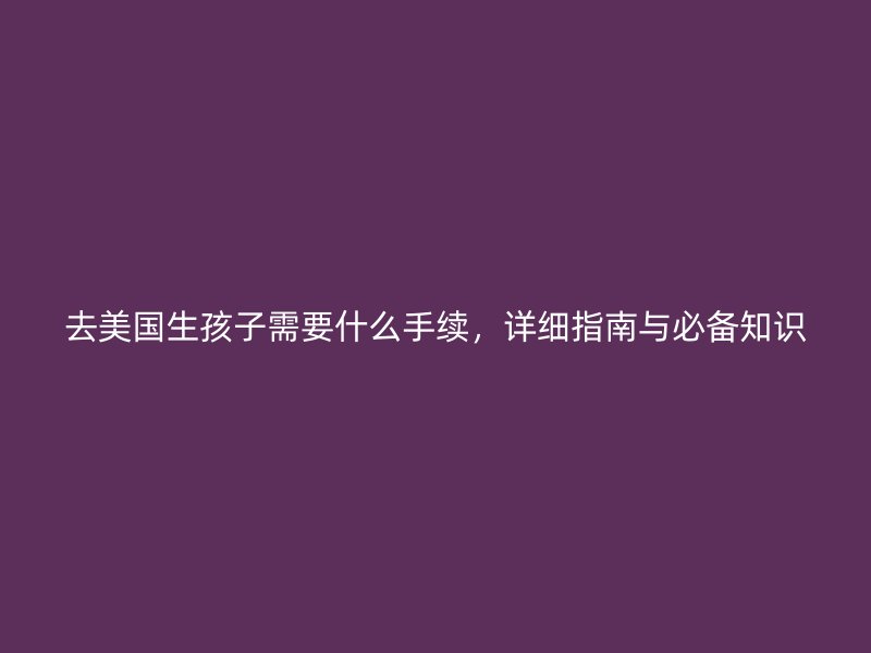 去美国生孩子需要什么手续，详细指南与必备知识