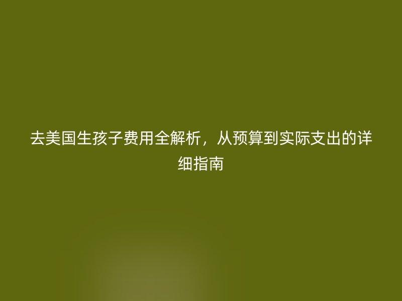 去美国生孩子费用全解析，从预算到实际支出的详细指南