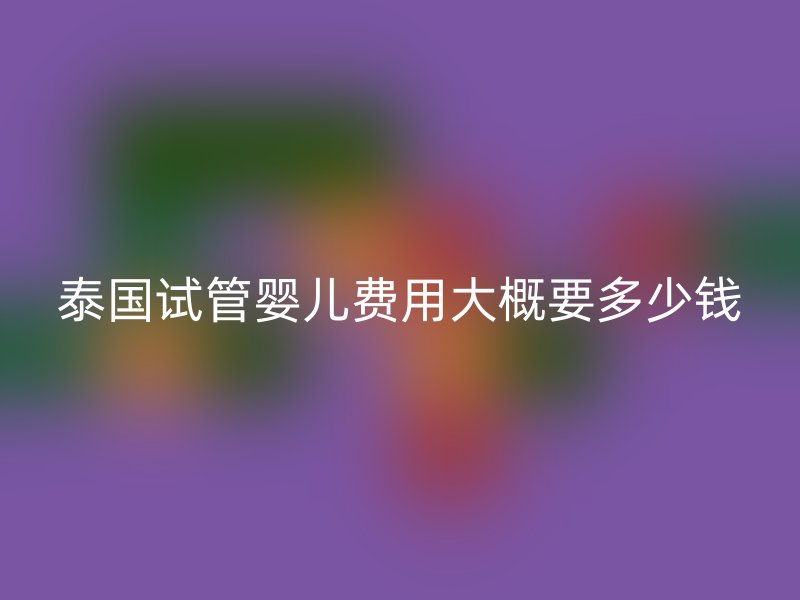 泰国试管婴儿费用大概要多少钱
