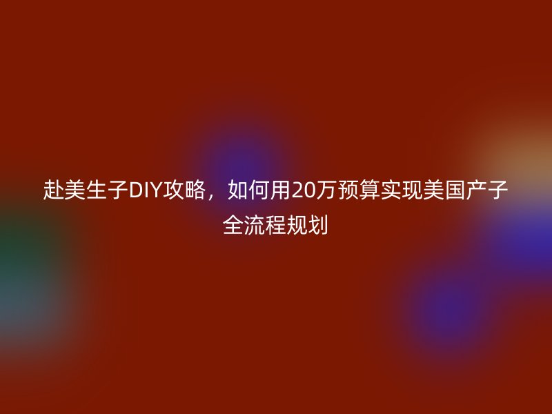 赴美生子DIY攻略，如何用20万预算实现美国产子全流程规划