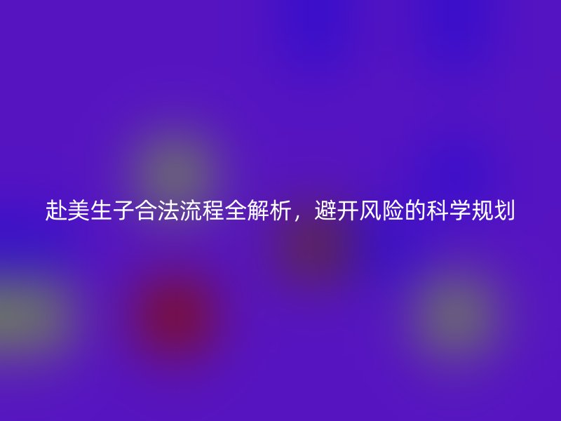 赴美生子合法流程全解析,避开风险的科学规划