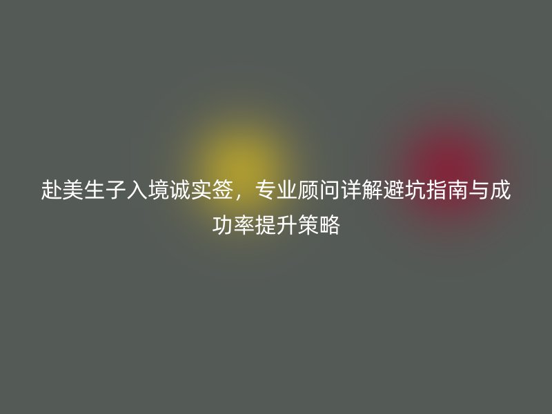 赴美生子入境诚实签，专业顾问详解避坑指南与成功率提升策略