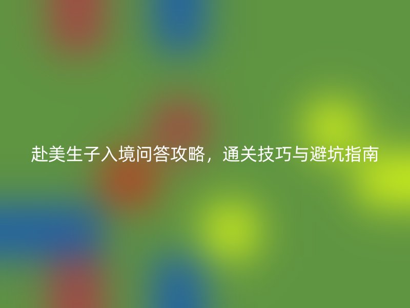 赴美生子入境问答攻略,通关技巧与避坑指南