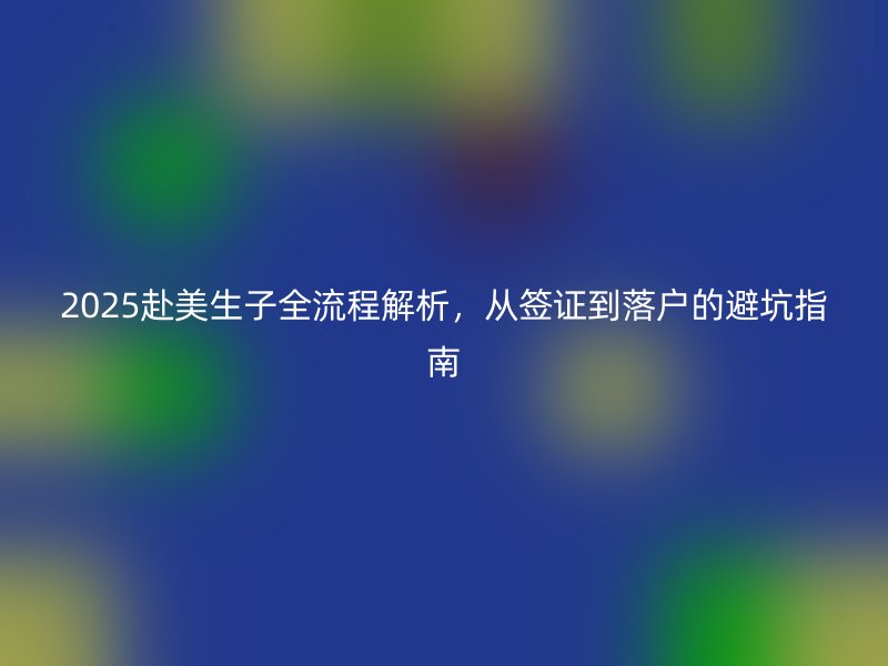 2025赴美生子全流程解析，从签证到落户的避坑指南