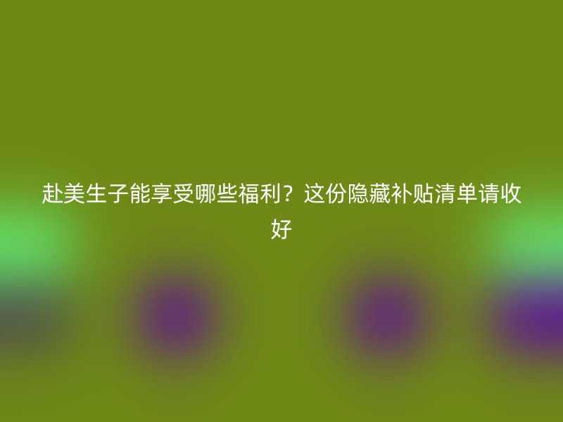 赴美生子能享受哪些福利?这份隐藏补贴清单请收好