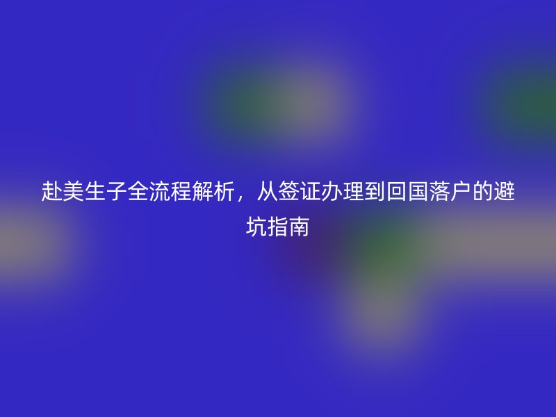 赴美生子全流程解析，从签证办理到回国落户的避坑指南