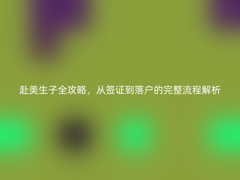 赴美生子全攻略,从签证到落户的完整流程解析