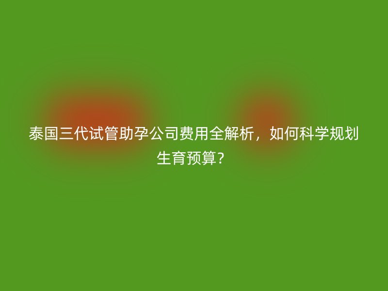 泰国三代试管助孕公司费用全解析，如何科学规划生育预算？