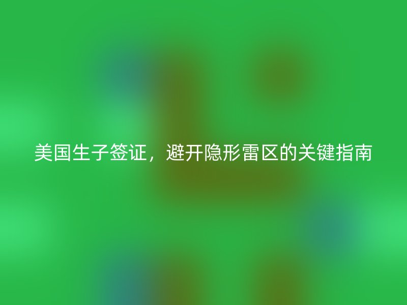 美国生子签证,避开隐形雷区的关键指南
