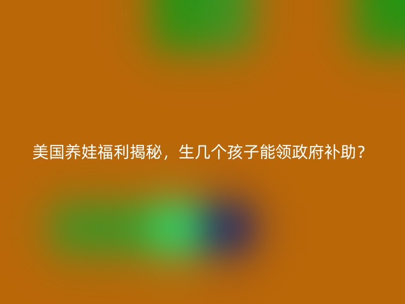美国养娃福利揭秘，生几个孩子能领政府补助？