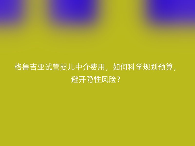 格鲁吉亚试管婴儿中介费用，如何科学规划预算，避开隐性风险？