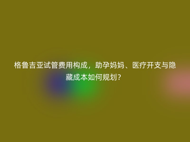 <a href='/tags/35_1.html' target='_blank'><u>格鲁吉亚试管费用</u></a>构成,助孕妈妈、医疗开支与隐藏成本如何规划?