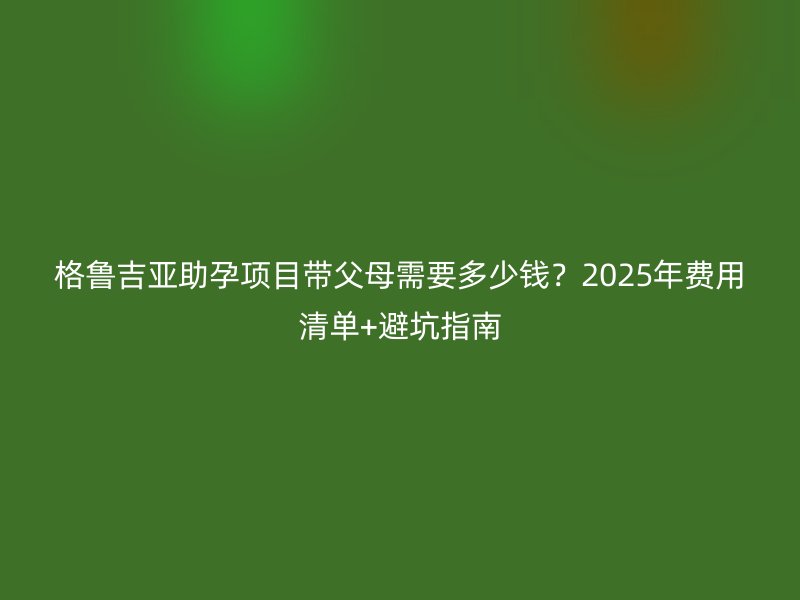 格鲁吉亚助孕项目带父母需要多少钱？2025年费用清单+避坑指南