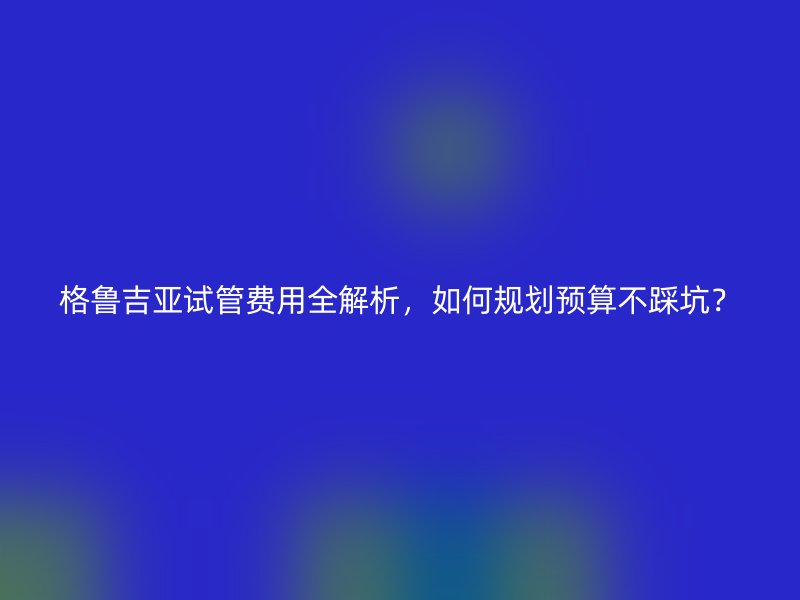 格鲁吉亚<a href='/tags/12_1.html' target='_blank'><u>试管费用</u></a>全解析，如何规划预算不踩坑？