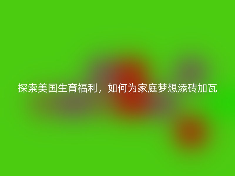 探索美国生育福利，如何为家庭梦想添砖加瓦