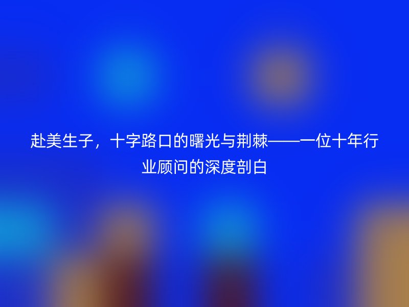 赴美生子,十字路口的曙光与荆棘——一位十年行业顾问的深度剖白