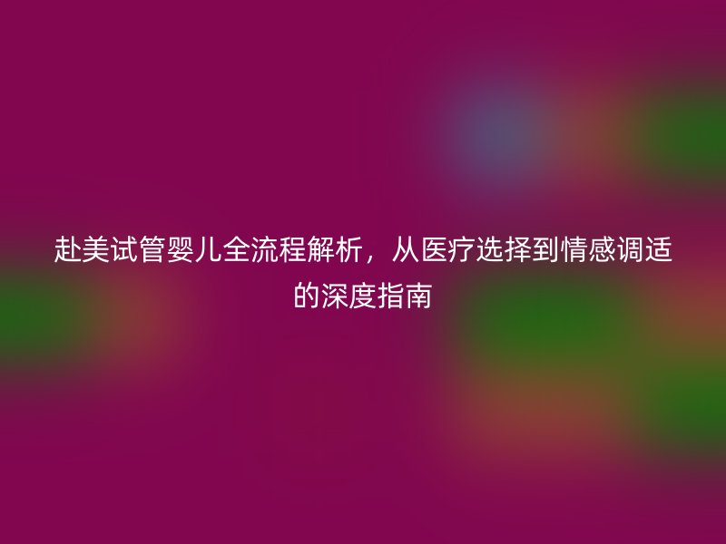 赴美试管婴儿全流程解析，从医疗选择到情感调适的深度指南