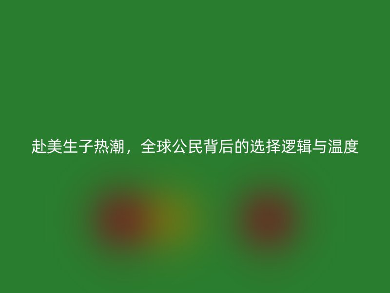 赴美生子热潮,全球公民背后的选择逻辑与温度