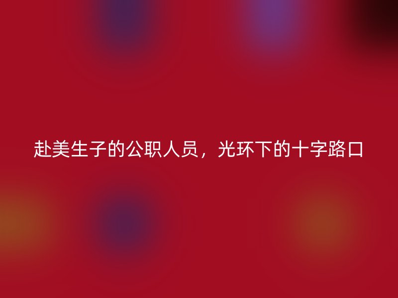 赴美生子的公职人员，光环下的十字路口