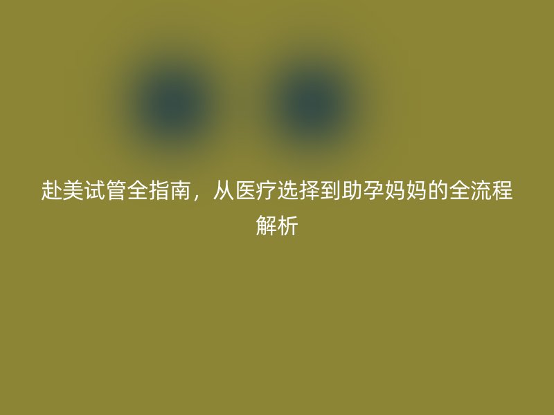赴美试管全指南，从医疗选择到助孕妈妈的全流程解析