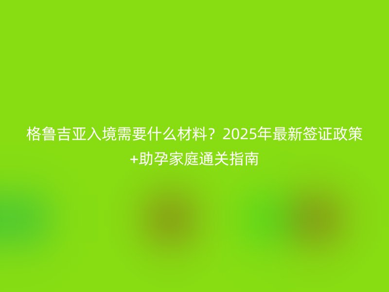 格鲁吉亚入境需要什么材料？2025年最新签证政策+助孕家庭通关指南